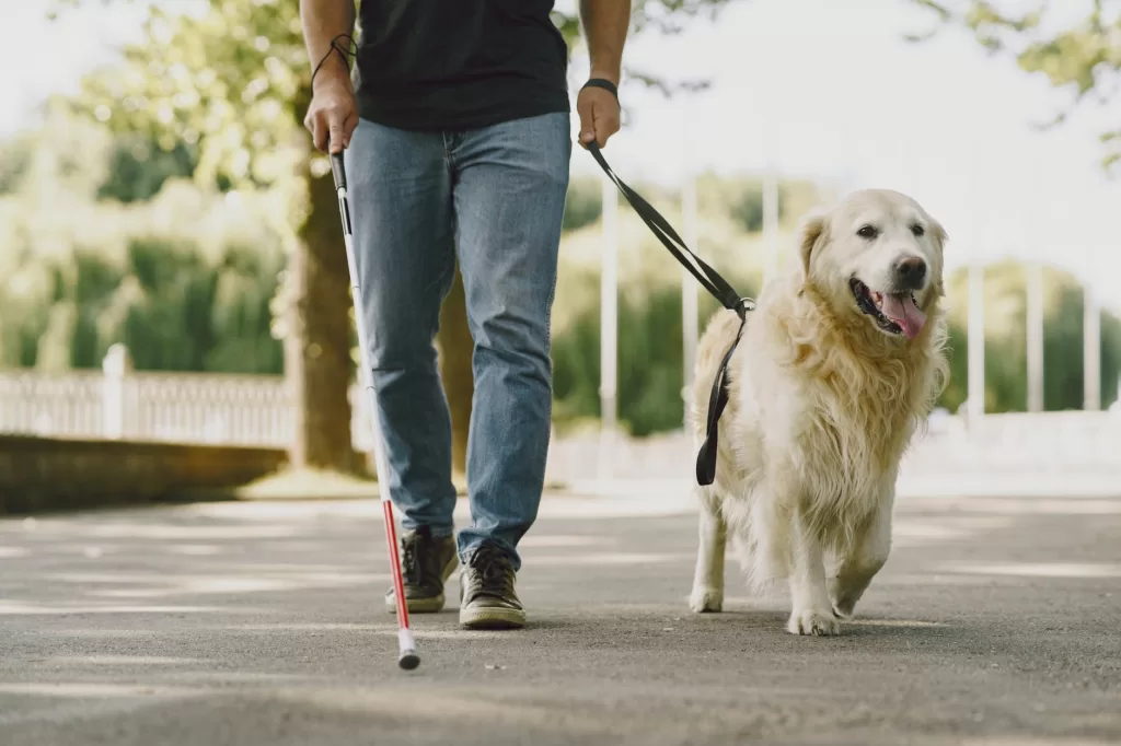 man walking with his dog